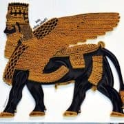 شركة دام كار