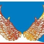 شركة جناح الطير